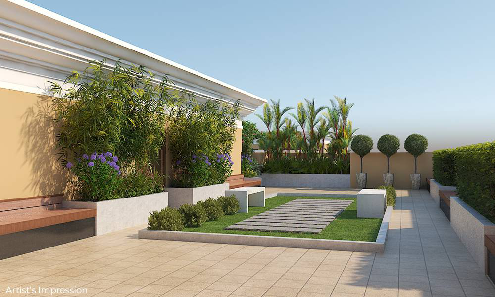 Trishabh Greens RoofTop